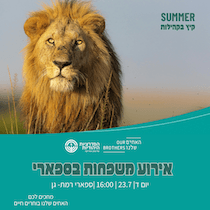 ספארי אופציה 2